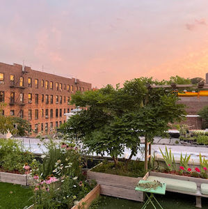 Meet your Posher, Alana